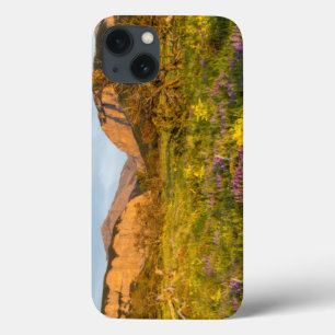 title_seo2 Luces del amanecer Blackleaf Canyon