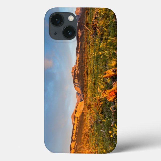 Funda De Case-Mate Para iPhone Luces del amanecer Cañón de hojas negras 2 (Reverso)