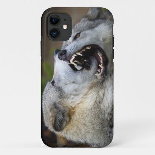 title_seo2 Lucha del lobo