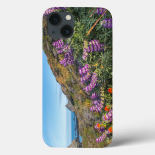 Funda Para iPhone 13 Lupine And Paintbrush Wildflowers