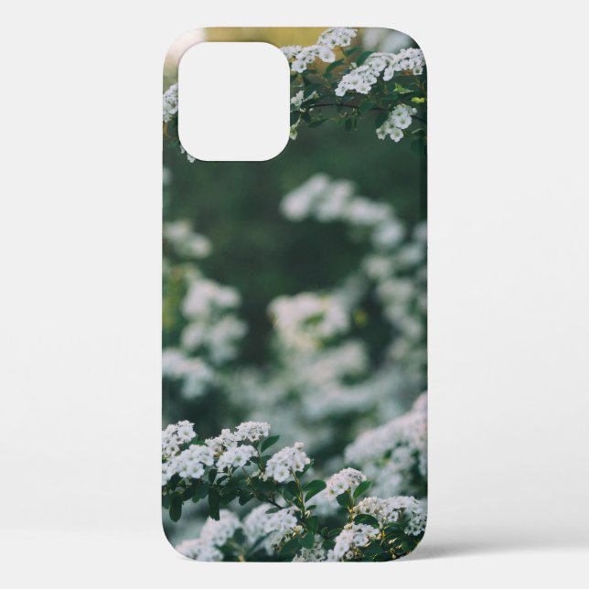 FUNDA DE Case-Mate PARA iPhone LUZ DE LA MAÑANA (Reverso )
