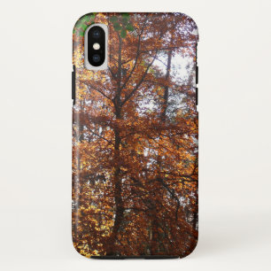 Funda Para iPhone XS Luz solar a través de un árbol de otoño en Greenbe