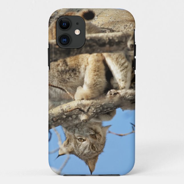 Funda De Case-Mate Para iPhone Lynx traviesa (Reverso)