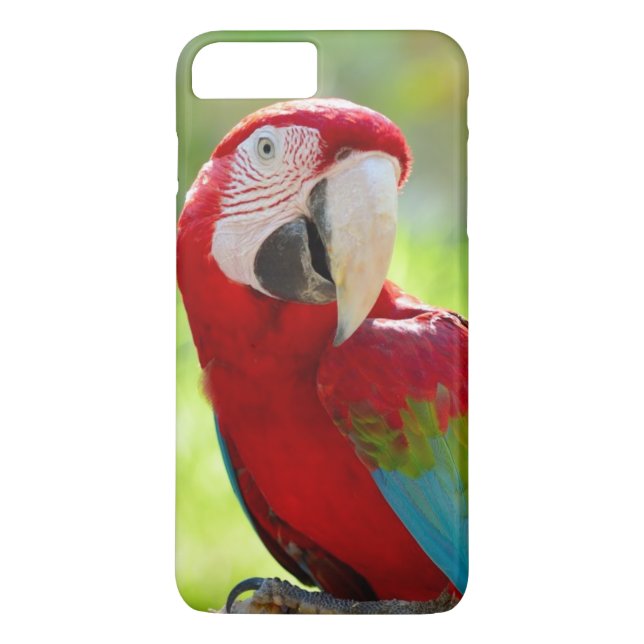 Funda De Case-Mate Para iPhone Macaw que se sienta en rama (Reverso)