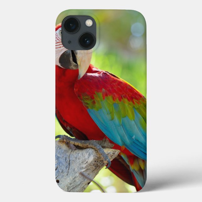 Funda De Case-Mate Para iPhone Macaw sentado en una rama (Reverso)