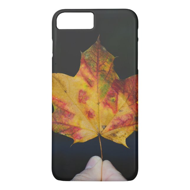 Funda De Case-Mate Para iPhone macro amarilla de hojas de otoño (Reverso)
