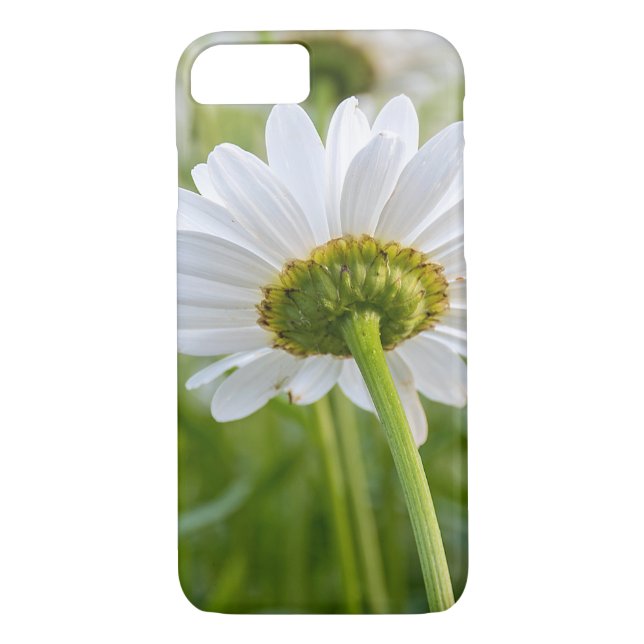 Funda De Case-Mate Para iPhone macro margarita blanca (Reverso)