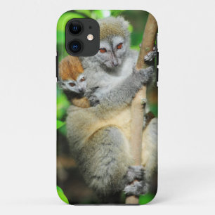 Funda Para iPhone 11 Madagascar, Andasibe, Isla de los Lémures, Madre