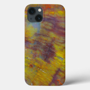 Funda Para iPhone 13 Madera Petrificada