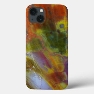 Funda Para iPhone 13 Madera Petrificada Arcoíris