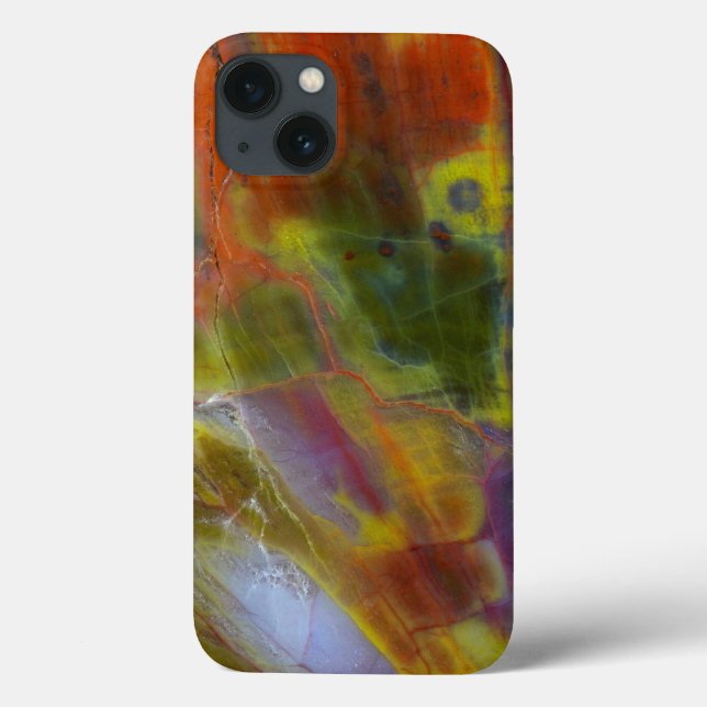 Funda De Case-Mate Para iPhone Madera Petrificada Arcoíris (Reverso)