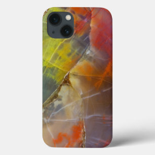 Funda Para iPhone 13 Madera petrificada de colores arcoíris