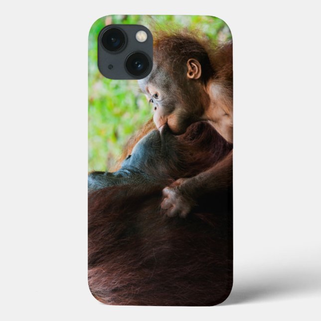 Funda De Case-Mate Para iPhone Madre de orangután y bebé (Reverso)