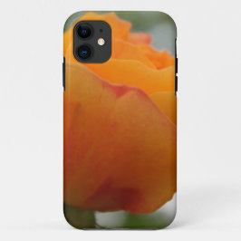 Funda Para iPhone 11 Magnífica fotografía de flores de rosa amarillo.
