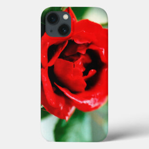 Funda Para iPhone 13 Magnífica rosa roja con rocío matutino