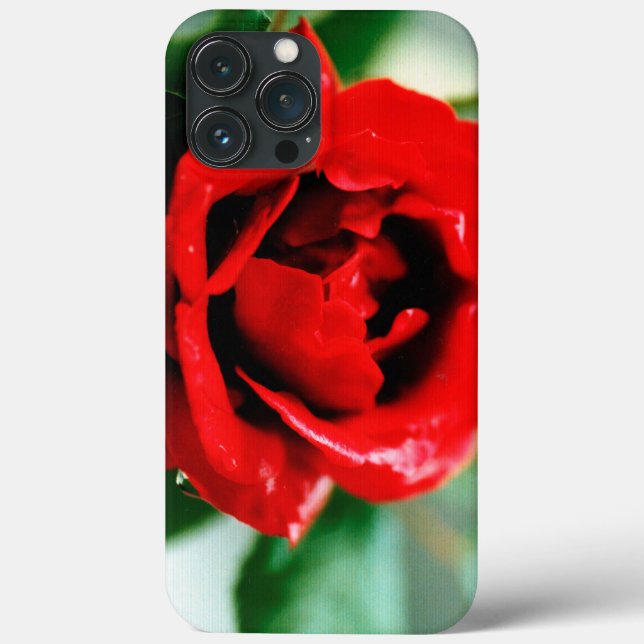 Funda De Case-Mate Para iPhone Magnífica rosa roja con rocío matutino (Reverso )