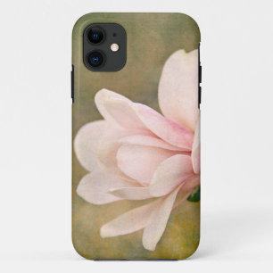 title_seo2 Magnolia Queen
