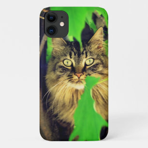 Funda Para iPhone 11 Maine Coon en árbol
