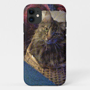 title_seo2 Maine Coon Tabby Cat