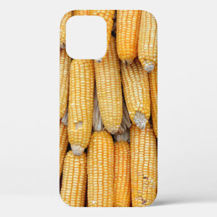 Funda Para iPhone 12 Maíz seco que fue apilado.