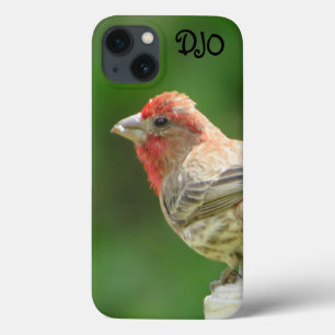 Funda Para iPhone 13 Male House Finch Funda-Mate iPhone Estuche
