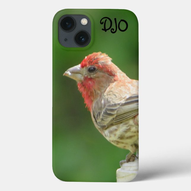 Funda De Case-Mate Para iPhone Male House Finch Funda-Mate iPhone Estuche (Reverso)