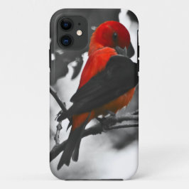 Funda Para iPhone 11 Male Scarlet Tanager