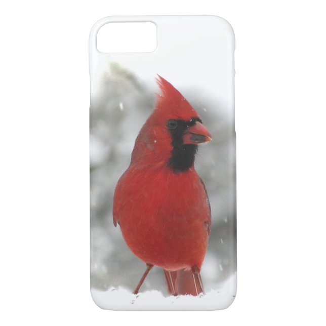 Funda De Case-Mate Para iPhone Maletín de iPhone para pájaro cardinal (Reverso)