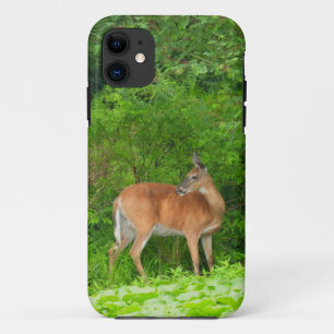 Funda Para iPhone 11 Mama Deer de pie en Pond