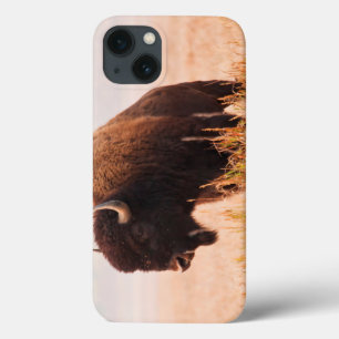 Funda Para iPhone 13 Manada del bisonte americano (bisonte del bisonte)