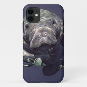title_seo2 Manatee Underwater World