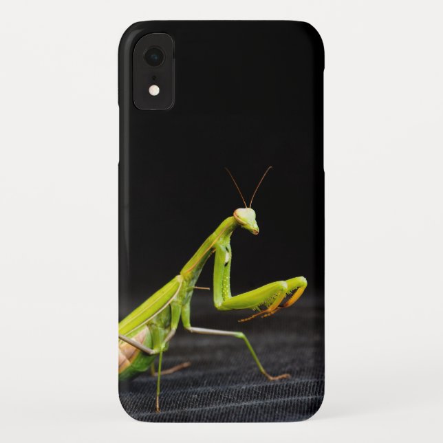 Funda De Case-Mate Para iPhone Mantis rezando (Reverso)
