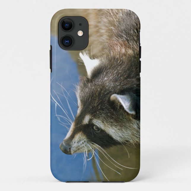 Funda De Case-Mate Para iPhone Mapache (Reverso)