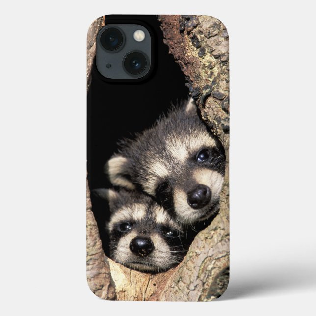 Funda De Case-Mate Para iPhone Mapaches bebés en cavidad de árbol Procyon (Reverso)