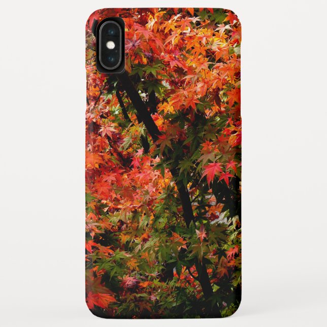 Funda De Case-Mate Para iPhone Maple japonés en caída (Reverso)