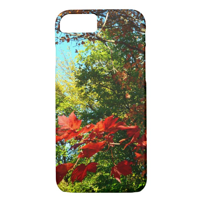 Funda De Case-Mate Para iPhone Maple japonés en otoño (Reverso)