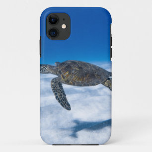 Funda Para iPhone 11 Maravillosa tortuga acuática