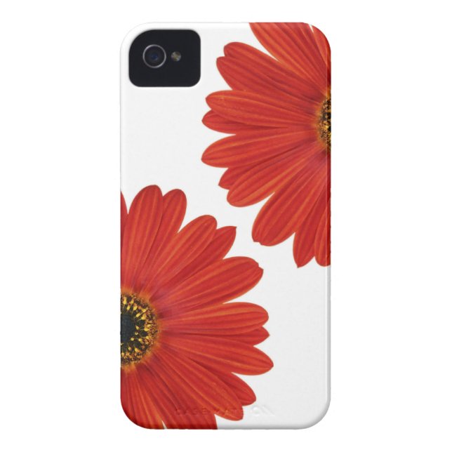 Funda De Case-Mate Para iPhone Margaritas de la felicidad del abrazo (Atrás)