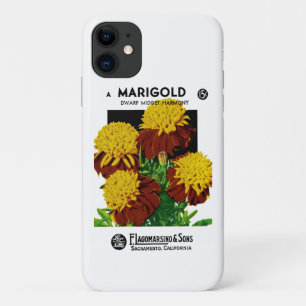 title_seo2 Marigold