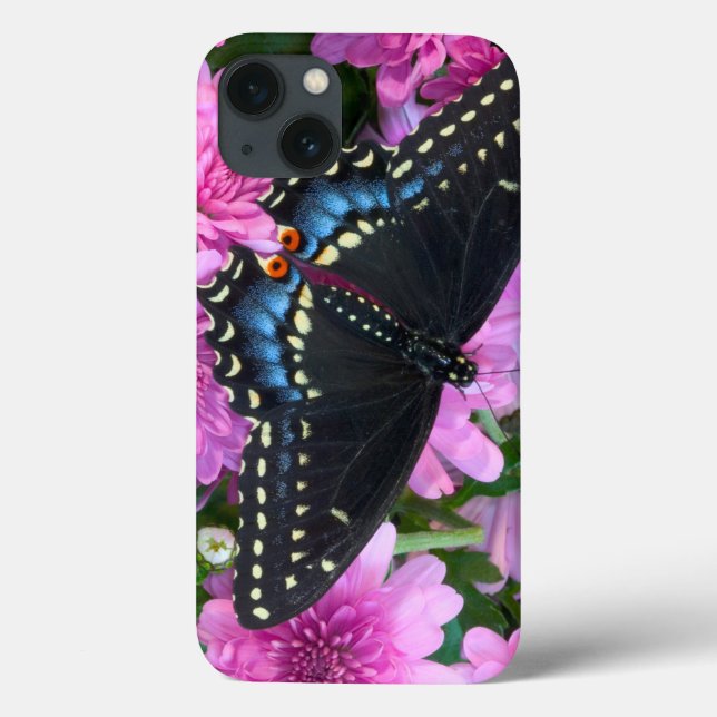 Funda De Case-Mate Para iPhone Mariposa a cuadros de Baltimore (Reverso)
