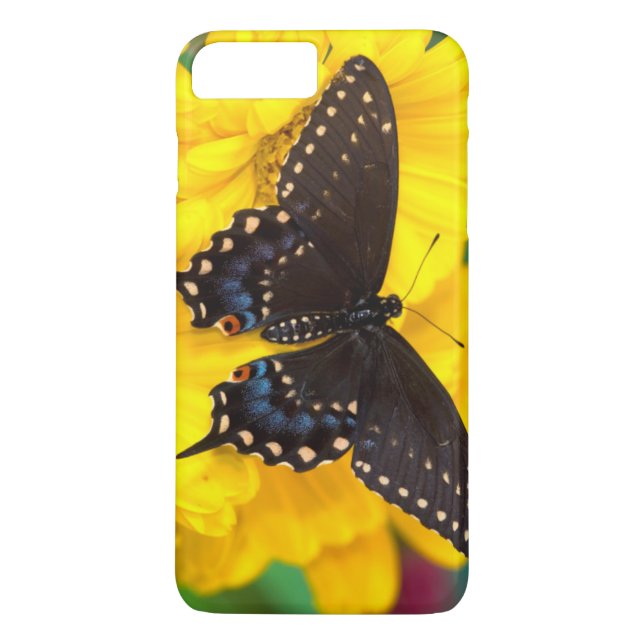 Funda De Case-Mate Para iPhone Mariposa de cola de cerda negra (Reverso)