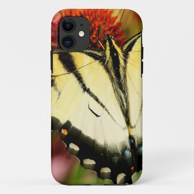 Funda De Case-Mate Para iPhone Mariposa de cola tortuga (Reverso)