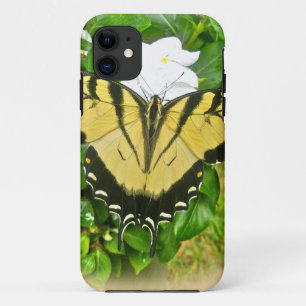 title_seo2 Mariposa de cola tragada - Flores
