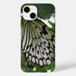 title_seo2 Mariposa de cometa de papel tropical