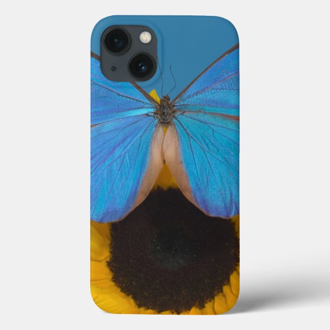 Funda De Case-Mate Para iPhone Mariposa en Girasol (Reverso)