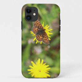 title_seo2 Mariposa - ¡Hermosa!