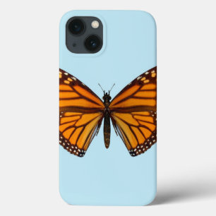 title_seo2 Mariposa Monarca