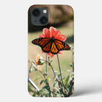 Mariposa monarca en Dahlia