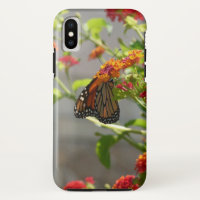 Mariposa monarca en mariposa roja Bush