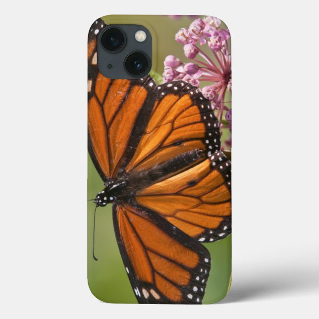 Funda De Case-Mate Para iPhone Mariposa monarca macho en algodoncillo de pantano (Reverso)
